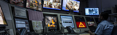 An Argument for Specialization in Emergency Management